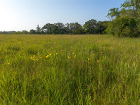 Photo 10 of Racine-TRACT 3 Avenue