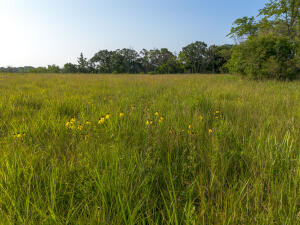 Photo 10 of Racine-TRACT 3 Avenue, Lehigh